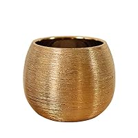 pdodo Vaso di Fiori Vaso d'oro,vasi da Fiori da Interno per Piante succulente e Orchidee,Vaso con Foro di Drenaggio Organizzatore di Stoccaggio Regali Decorativi per Matrimonio Soggiorno Balcone