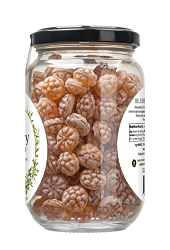 Gourmanity Blueberry Flavor Honey Lozenges Made with Real Honey and Natural Blueberry Flavor, Luxury French Honey Candy, Great Soothing Throat Lozenges, 8.8oz Jar - Thumbnail 7