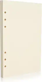 Refil de papel A5 com 6 furos – Caneta-tinteiro bege de 100 g/m² e caneta de gel, folha solta para fichários de 6 anéis, em branco, sem sangramento – diário, planejamento, anotações. Compatível com