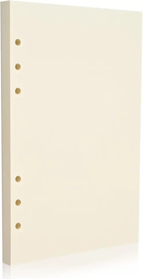 Refil de papel A5 com 6 furos – Caneta-tinteiro bege de 100 g/m² e caneta de gel, folha solta para fichários de 6 anéis, em branco, sem sangramento – diário, planejamento, anotações. Compatível com