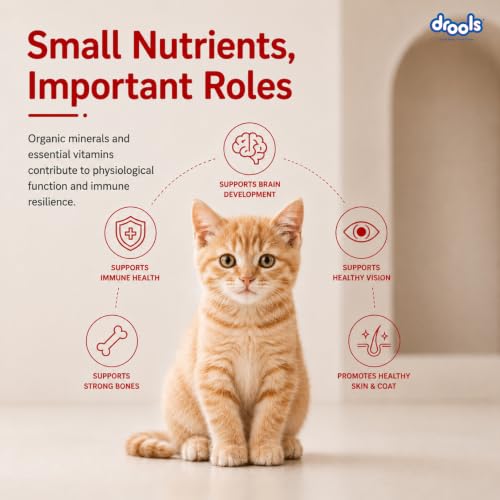 Drools Kitten Dry Cat Food, Mackerel, 1 kg - Image 5