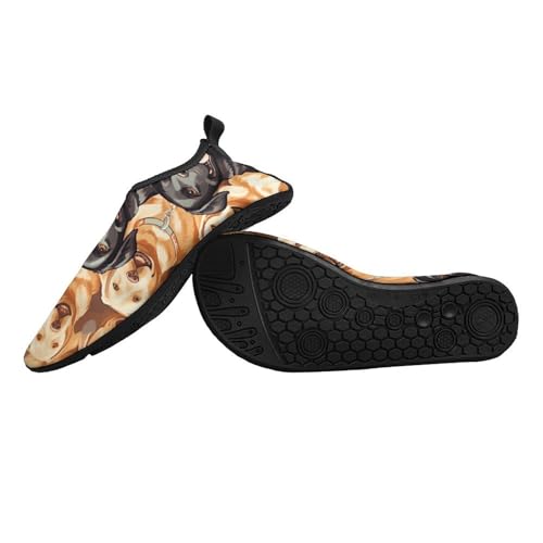 Water Shoes for Women Men Swim Beach Shoes Quick Dry Barefoot Aqua Shoes Labrador Retriever Dogs Sport Shoes Hiking Shoes2