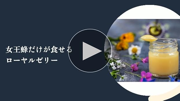 新品ロイヤルレインボー日本製トルマリン定価6千円以上冷え症健康ブリーフL！3枚 新品ロイヤルレインボー日本製トルマリン定価6千円以上冷え症