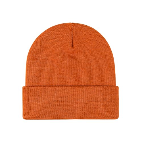 Image of Beanie for Men Women Warm Winter Hat Windproof Thick Knitted Cuffed Unisex Skull Cap