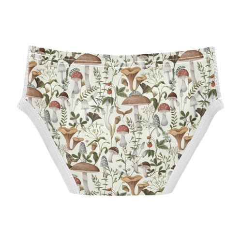 Boys' Exclusive Briefs Toddler Underwear 95% Combed Cotton Boxerbriefs 2T Mushroom Pattern 302