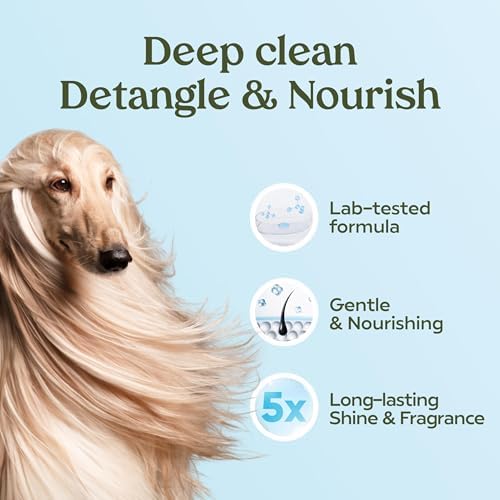 PAWFUME Dog Shampoo and Conditioner, Blue Ribbon, 1-Pack - 4