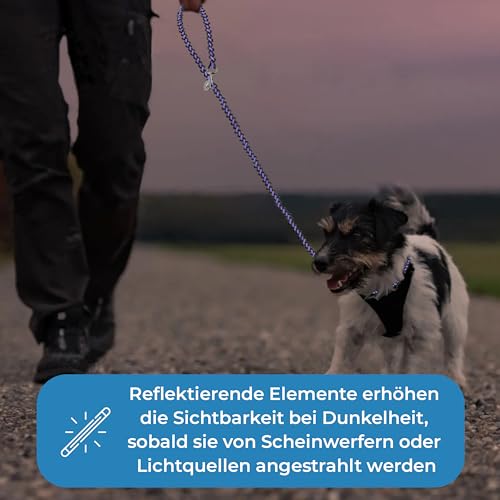 Testnote: Sehr gut - Hundeleine reflektierend I 2m, verstellbar, wetterfest & reißfest bis 250 kg I Paracord Führleine, Umhängeleine I kleine - große Hunde