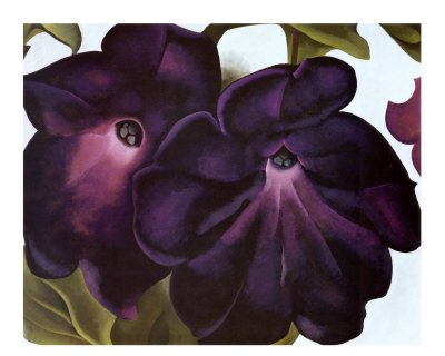 Peinture à l'huile O'Keeffe Black and Purple Petunias pour décoration salon élégante