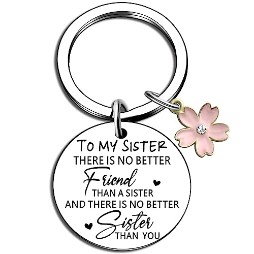 ibiwe Best Sister Ever Heart Keychain - Unbiological Sisters Gift for Women, Birthday, Graduation -...