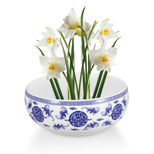 Plavier hydroponique en céramique pot de lys Gatuida pour maison