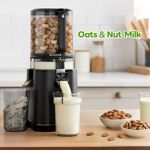 Automatic Cold Press Juicer Machine