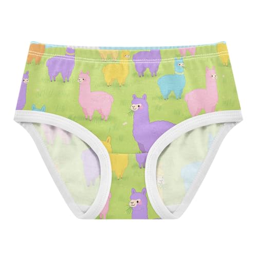 Organic Cotton Panties Stretchy Triangle Panties Comfort Underwear for Kids in Sizes 2T,3T, 4T, 5T, 6Y and 8Y