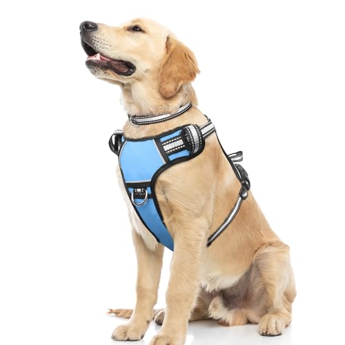 WINSEE Dog Harness No Pull, Pet Harnesses with Dog Collar, Adjustable Reflective Oxford Outdoor Vest, Front/Back Leash Clips for Small, Medium, Large, Extra Large Dogs, Easy Control Handle for Walking by WINSEE - Used condition - US$6.83