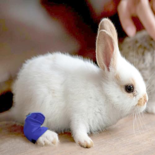 Mini meias de jarrete de coelho Rex resistente à água para jarretes doloridos, proteção de cotovelo