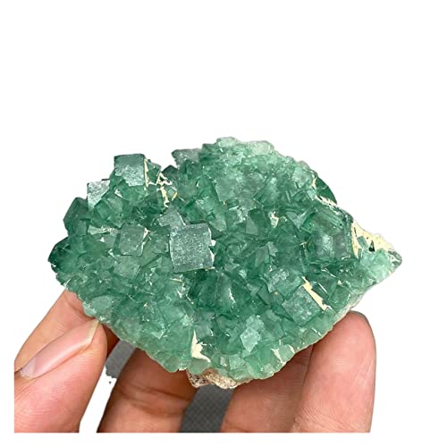 Vert fluorite spécimen minéral de collection authentique JCAKES