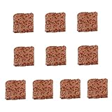 SUPVOX 10 Piezas Anillo Fijo para Plantas Acuáticas Soporte de Duradero para Decoración de Peceras y Accesorio Práctico para Fijar de Plantas de Peces