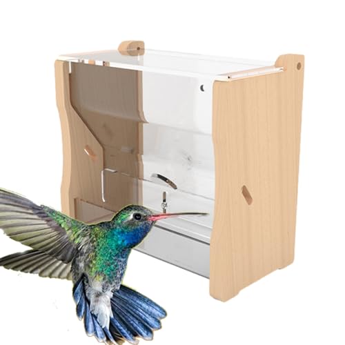 Mangeoire à poulet – Sans déchets – Distributeur d'eau automatique | Mangeoires à perruches pour animaux de compagnie, accessoires de cage pour caille, perruche, pivoine, cacatoès