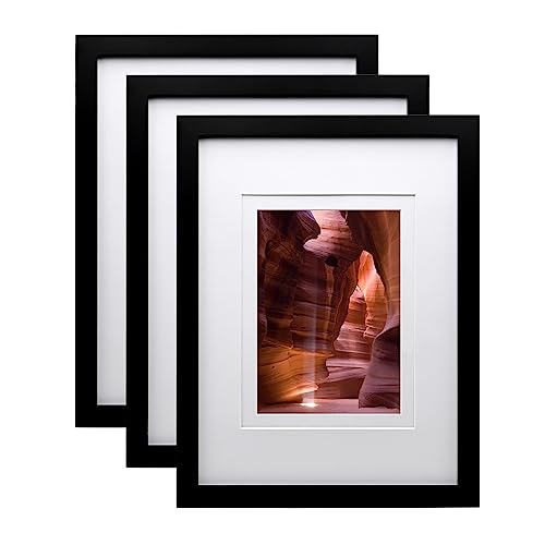 EGOFINE 12x9 Photo Frames Black Set of 3, Wood Picture Frames for Photos 8x6 with Mat or 12x9 without Mat, Tabletop and Wall Mounting Display