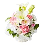 bloomee(ブルーミー) 仏花 そのまま飾れる アレンジメント ピンク Sサイズ 生花 花束 供花 ミニ (お供え 仏壇用 お墓用) 命日 法事 お彼岸 お盆 新盆 (花瓶不要) ペット 犬)