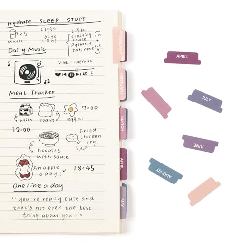 Lumintutu Laminated Planner Monthly Stickers 40 Adhesive Plan Tabs Accessories for Notebooks (2 Sets 12 Month Tabs and 16 Blank Tabs) Calendar Monthly Divider Set (Purple & Pink)