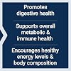 Life Extension Dog Mix, Dog Vitamins and Supplements, probiotics, L-carnitine, B12, folic Acid, Vitamin C, Vitamin E, Rosemary, Nutrient Absorption, Gluten-Free, Non-GMO, 60 Servings