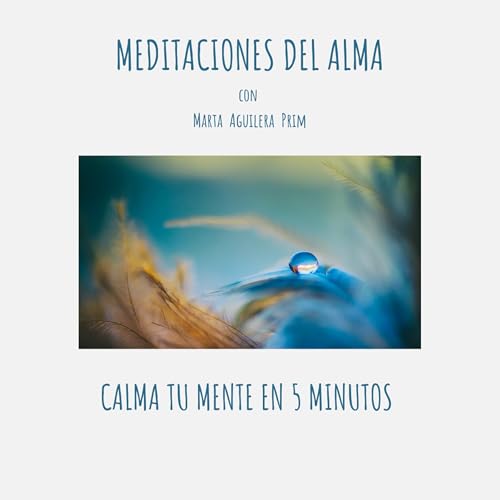 13.- Calma tu mente en 5 minutos