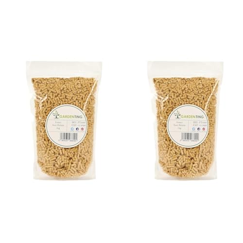 Garden Ting Insect Suet Pellets Wild Bird Food, 1 kg (Pack of 2)