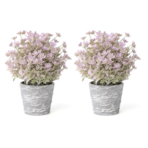 Fuxdre 2 Pack Small Desk Plants, Artificial Bathroom Plants Decor with Flower in Vintage Melamine Pots, Faux Plants Indoor for Shelf Decor in Home Office, and Spring Decor (Purple)