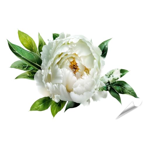 Poster Pivoine Délicate islandburner grand format pour décoration murale