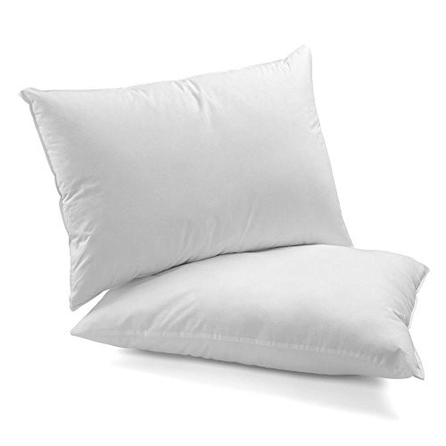 Kit Travesseiros 02 Peças Bonjour Fibra Siliconizada em Microfibra 70cm x 50cm - Ortobom