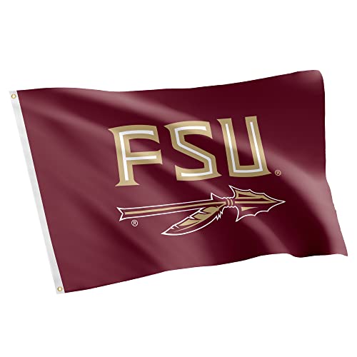 Desert Cactus Florida State University FSU Seminoles Flag 3x5 Outdoor (#3)