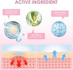 AUSLKA Star Pimple Patches (360 Pcs) Patchs de Zit mignon pour visage, Stickers Spot Patches de Pamplemousse Hydrocolloïde Absorb Fluide, Star Zit Patches avec acide salicylique végétalien, sans cruauté