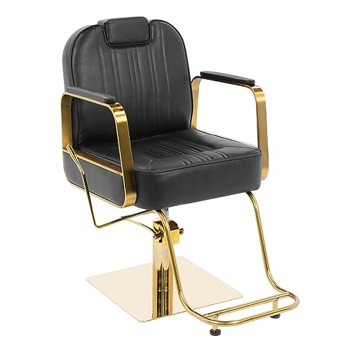 Onof Silla de Peluquería Hidráulica Reclinable Sillón...