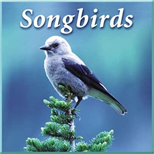 Naturescapes Music Songbirds CD