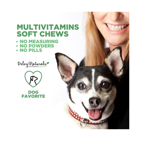 Deley Naturals 15 in 1 Dog Multivitamin Treats, 120 Grain Free Soft Chews – Immune System, Skin & Coat, Joint Support & Digestion – Vitamins for Dogs of All Ages – Made in USA – Chicken Flavor Deley Naturals 15 in 1 Dog Multivitamin Treats, 120 Grain Free Soft Chews – Immune System, Skin & Coat, Joint Support & Digestion – Vitamins for Dogs of All Ages – Made in USA – Chicken Flavor