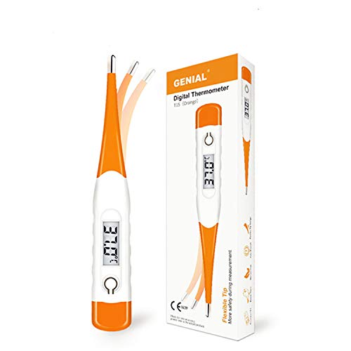 Best Basal Thermometer Canada 10Reviewz