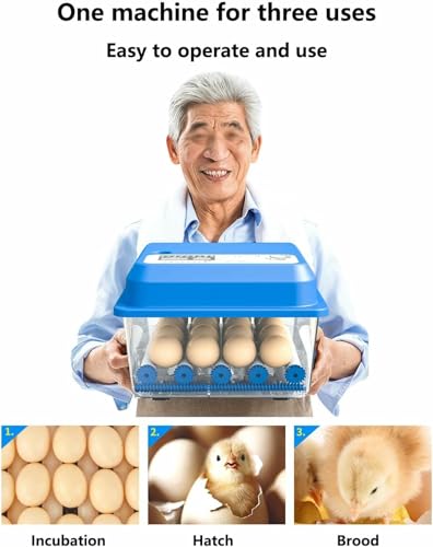 Incubadora digital de huevos totalmente automática con pantalla LED para incubar pollos, codornices, palomas y otros pájaros
