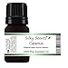 Calamus Essential Oil (Acorus Calamus - Sweet Cane - Sweet Flag) 100% Pure Therapeutic Grade - 10 ML