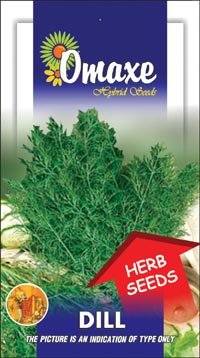 Dill Aneth Herb - 100 Seeds x 3 Pack herb Seeds