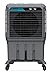 Symphony MOVICOOL L 125 Portable Air Cooler For Home with Honeycomb Pads