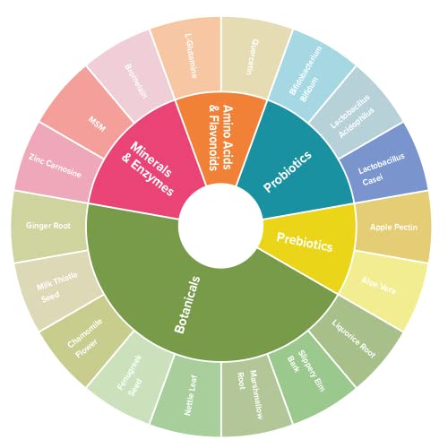 ActiFlex Gut Health | Probiotische & Prebiotische Bioculturen | 2 miljard CFU | 18 Actieve Enzymen, Kruiden & Botanicals… - Image 5