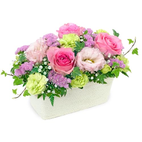  ԃL[sbg މ@j Cj 邢 O  Mtg v[g sNõ~bNXAWg yk00-524325