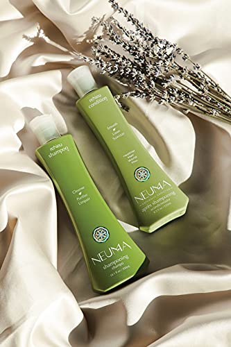 Neuma Reneu Smooth Conditioner, 8.5 Fl Oz #TOP4