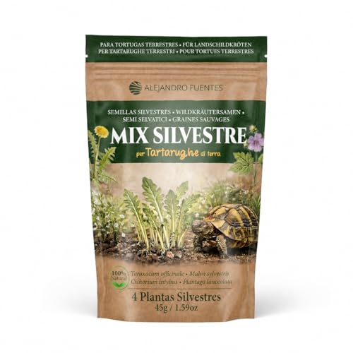 AF® - Graine Tortue Terrestre à Semer, Mélange 4 Plantes Sauvages | Graine Pissenlit, Mauve, Chicorée, Plantain | Plante pour Tortue Terrestre Hermann à...