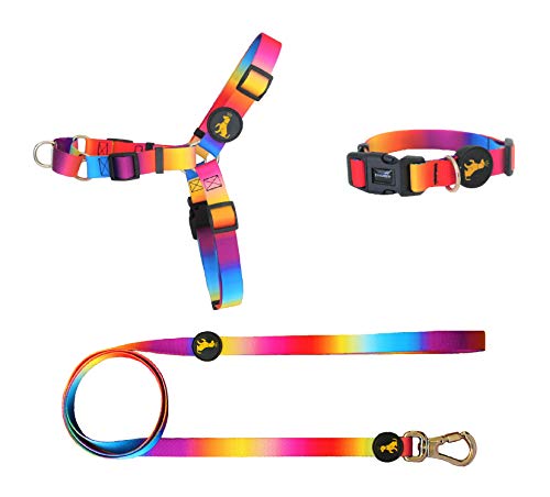 Peitoral Antipuxão + Coleira + Guia Arco-íris Para Cachorros Médio Porte Tam M