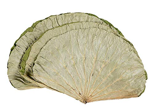 Infinitely Great Home Decor Center 500g Dried Lotus Leaves 荷叶 for Asian Rice & Food Wrapping Cooking