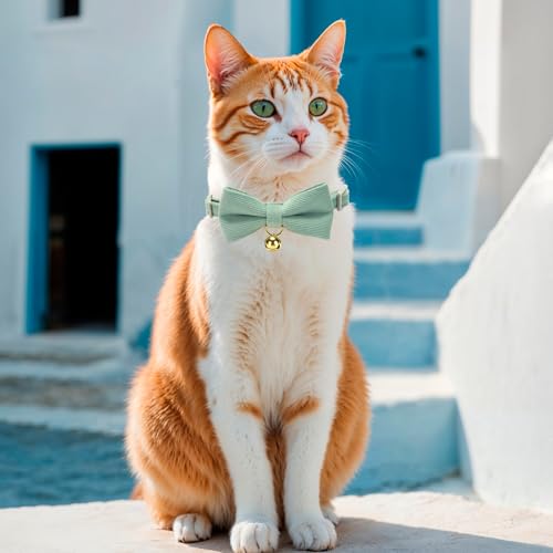 Collares para gatos de pana con campana pack de 2 unidades blanco y verde 8