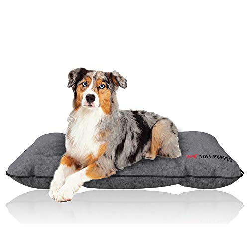 The 12 Best Folding Dog Beds of 2022