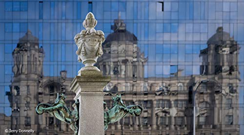 Sony SEL40F25G | Vollformat FE 40mm F 2.5 G - Premium G Serie Objektiv mit Festbrennweite – Bild 7