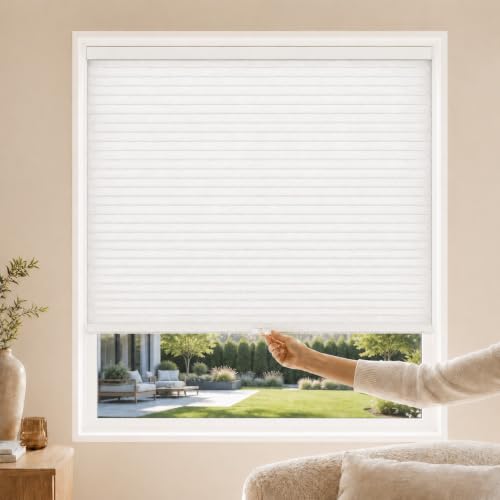 CHICOLOGY Cordless Cellular Shades, Room...
